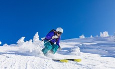 电竞赛场焦点！澳大利亚队对阵比利时队，球星闪耀，全场焦点无人能挡