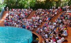 德约科维奇回归赛场，突破纪录首场状态亮眼，C9观众沸腾！