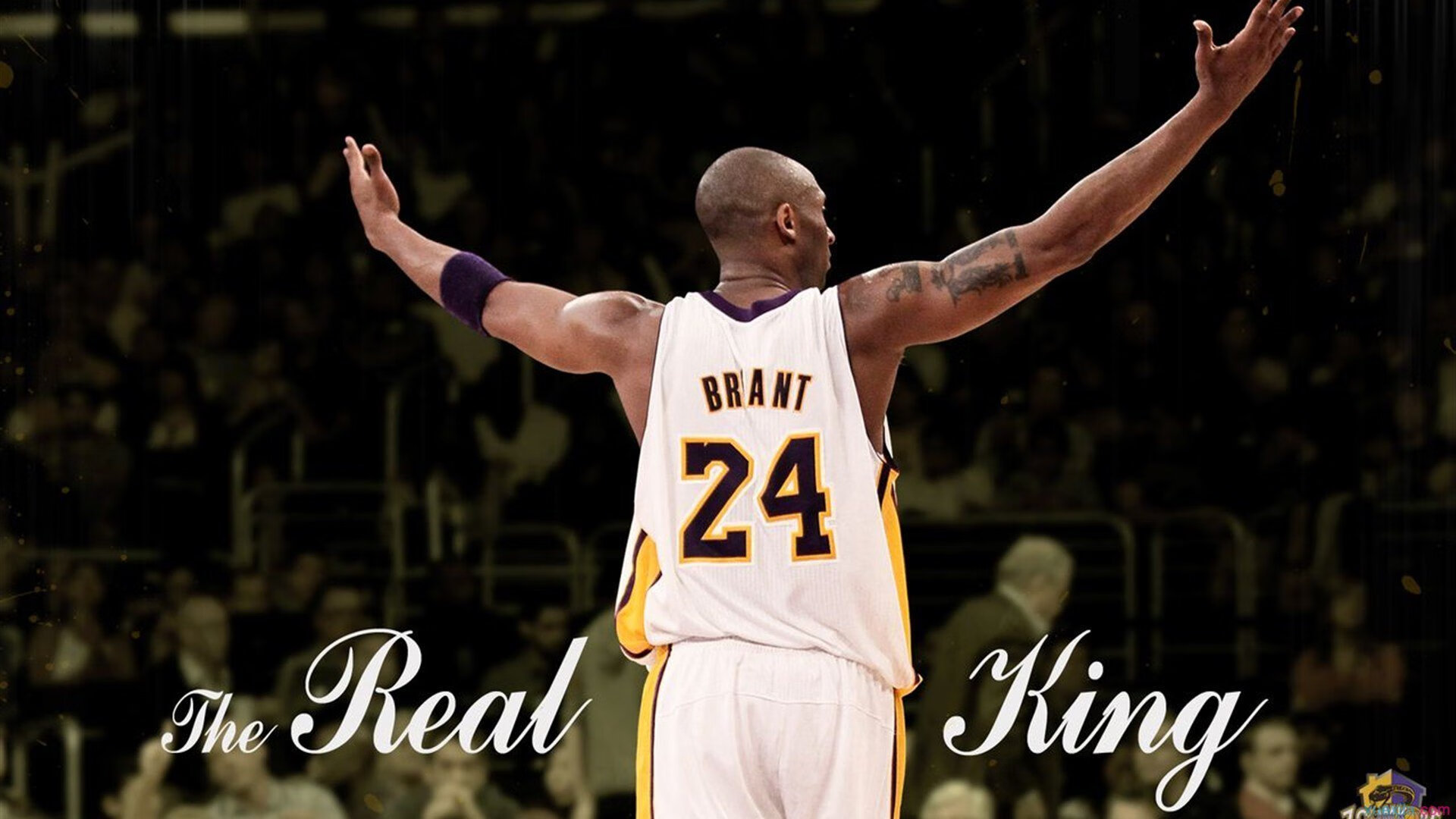 蒂姆回归赛场，挺进下一轮首场状态亮眼，IG观众沸腾！